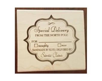 Special Delivery Rubber Stamp - 209H02