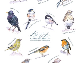 British Birds Poster - Etsy UK