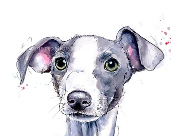 Italian Greyhound, Iggy Dog Watercolour