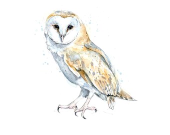 Barn Owl Watercolour print. Wildlife Art Owl