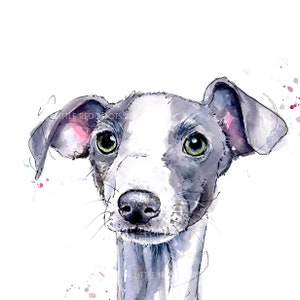 Italian Greyhound, Greyhound Watercolour Dog Card, Iggy Card