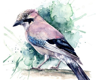 Jay Watercolour print. Wildlife Art