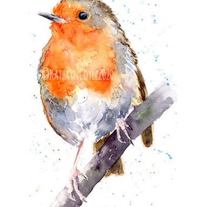 Watercolour tutorial download of a beautiful robin. Learn to paint watercolour image 3