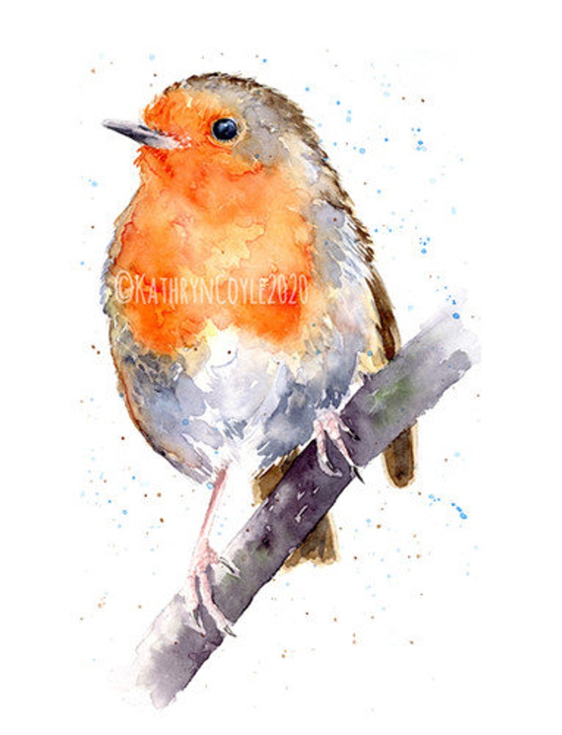 Watercolour tutorial download of a beautiful robin. Learn to paint watercolour image 3