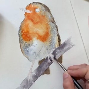 Watercolour tutorial download of a beautiful robin. Learn to paint watercolour image 2