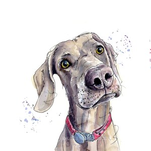 Weimaraner, Weimaraner Watercolour Dog Card, Dog Card
