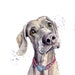 Weimaraner, Weimaraner Watercolour Dog Card, Dog Card 