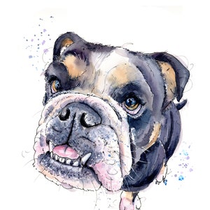 English Bulldog, Bulldog Watercolour Dog Card, British Bulldog card