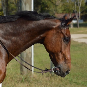 Leather Curb Strap Snaffle Bit image 1