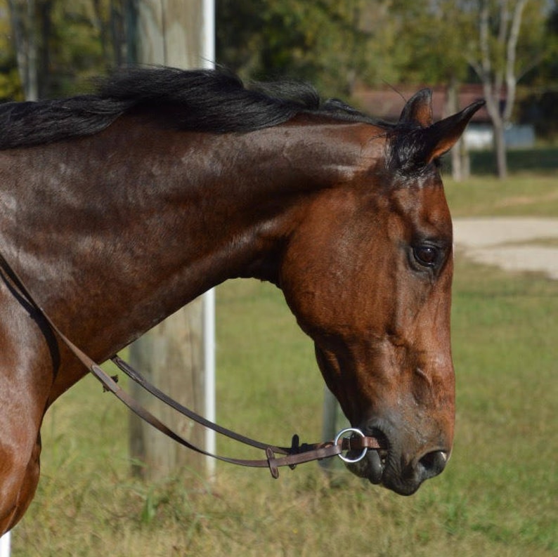 Leather Curb Strap Snaffle Bit image 1