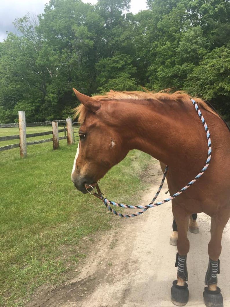 Leather Curb Strap Snaffle Bit image 2