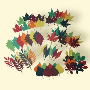 Ensemble de découpes de feuilles colorées aux couleurs D'automne/8 pièces/scrapbooking/Junk Journal/cartes de souhaits/agenda/fournitures.