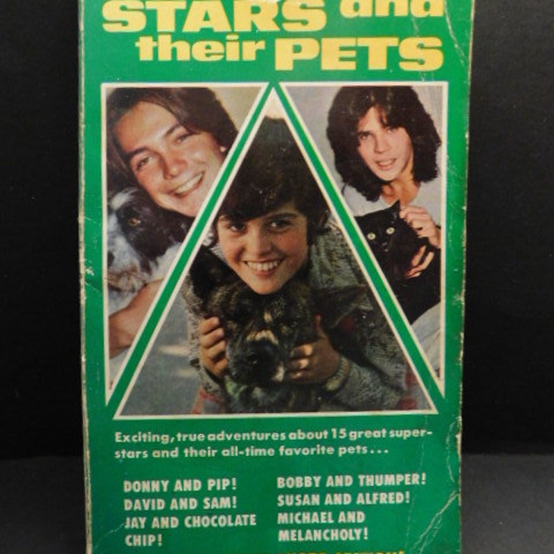 TheKitschyCorner Etsy