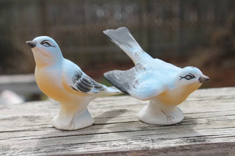 Beautiful Vintage Blue Birds Salt and Pepper Shakers Made in Etsy