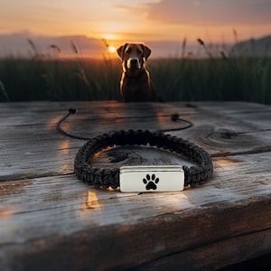 May include: Black braided bracelet with a silver rectangular charm featuring a black paw print. The bracelet is on a wooden surface with a dog in the background, and a sunset in the distance.