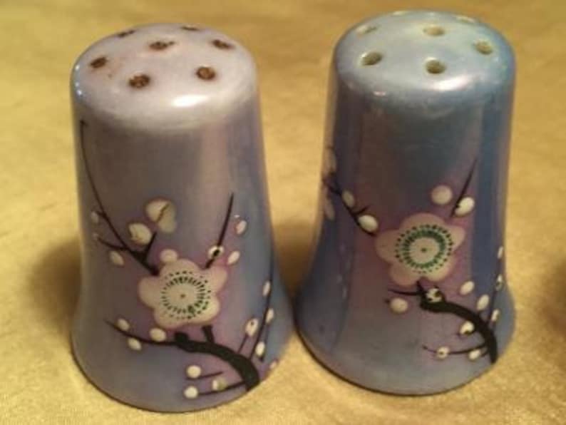 May include: A pair of ceramic salt and pepper shakers with a light blue glaze and a floral design. The shakers feature a delicate pattern of pink and white blossoms with black stems.