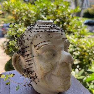 May include: A white ceramic planter shaped like a human face with a smiling expression. The planter has small holes and a textured surface. Green plants are growing out of the top of the planter.