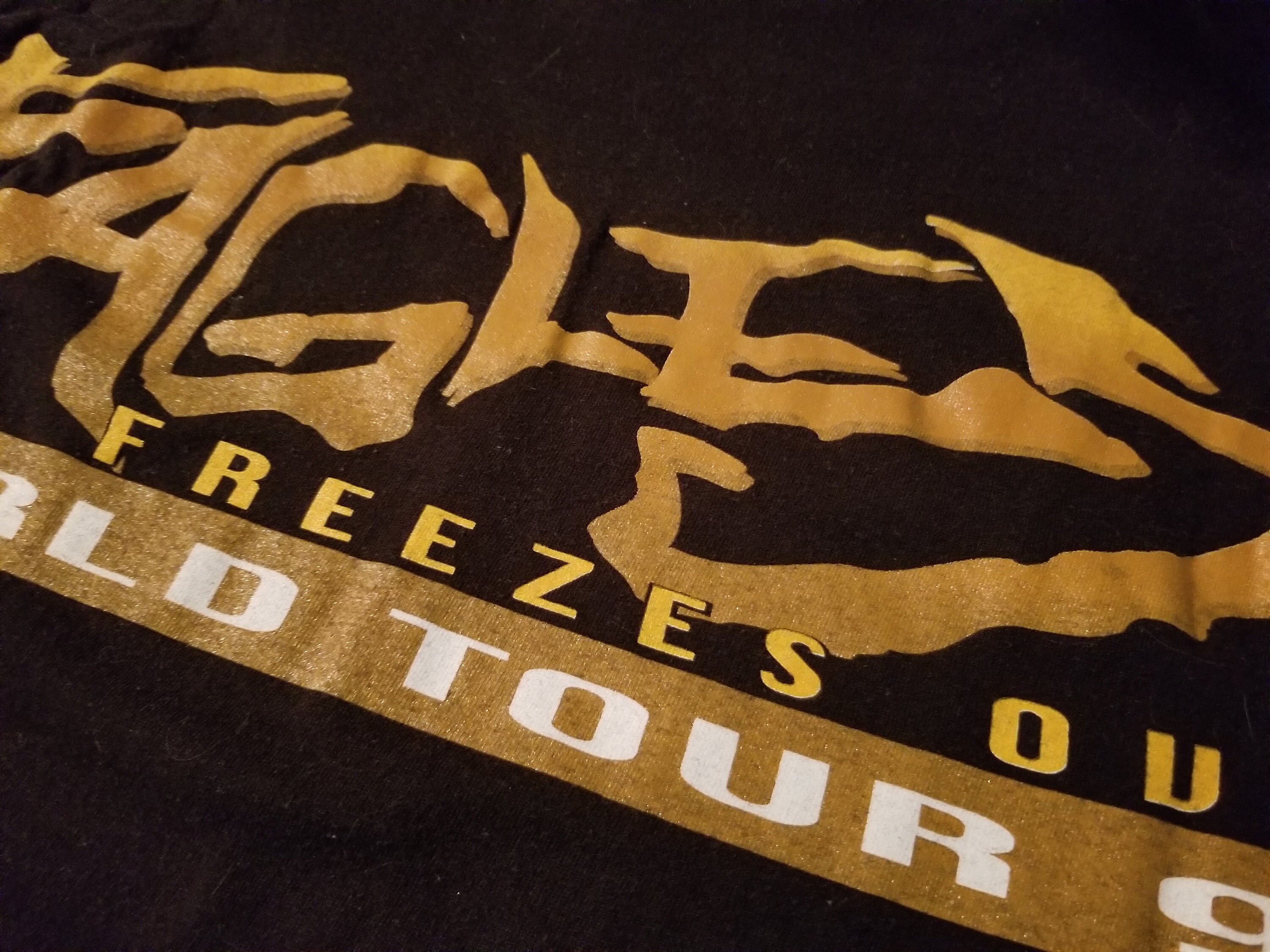 EAGLES Tour Shirt 1995 Hell Freezes Over - Etsy Canada