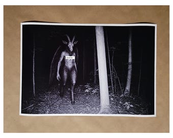 Baphomet Trail Cam Art Print - Satanic goat haloween horror art