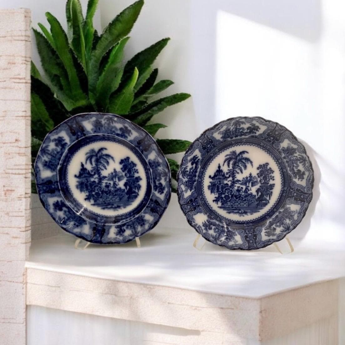 W adams plates - Etsy 日本