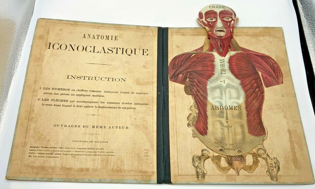 Antique 1875 Rare French Medical Human Anatomy Diagram Pop-up Book G.J. Witkoski - Etsy Antique 1875 Rare French Medical Human Anatomy Diagram Pop-up Book G.J. Witkoski - Etsy