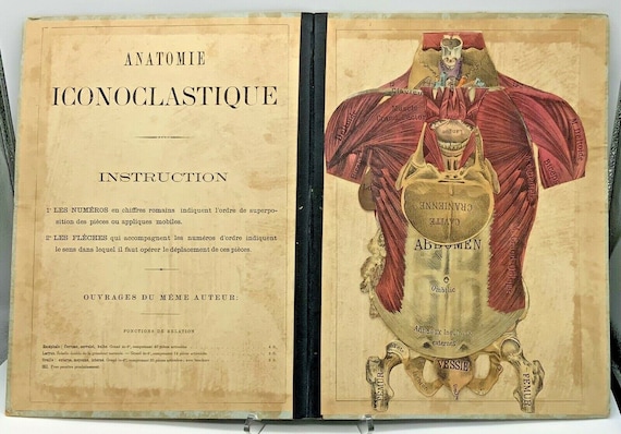 その他 Liquid Anatomy [CD] Antique 1875 Rare French Medical Human Anatomy Diagram Pop