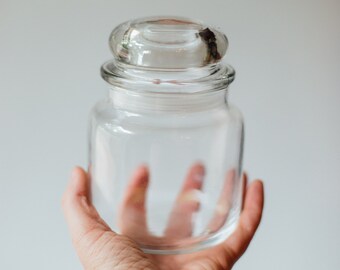 glass apothecary jar with lid large glass jar with rubber sided glass lid terrarium glass jar candle making jar yankee candle jars - Large Glass Jars With Lids glass apothecary jar with lid large glass jar with rubber sided glass lid terrarium glass jar candle making jar yankee candle jars - Large Glass Jars With Lids