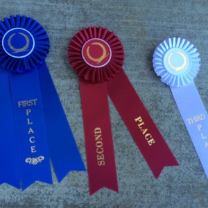 Award Rosette Ribbons - Set of 1st 2nd 3rd place