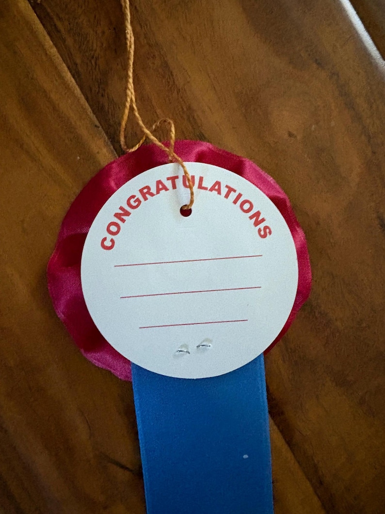 FIRST PLACE Award Rosette With 3 Blue Satin Ribbons - Etsy