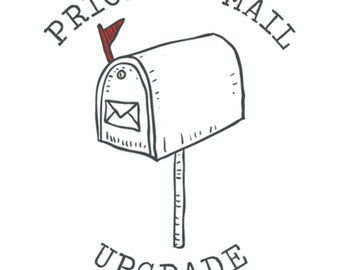 Ship 2 day priority mail
