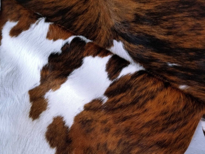 Tricolor Cowhide Rug Cow Hide Rugs on Sale image 5