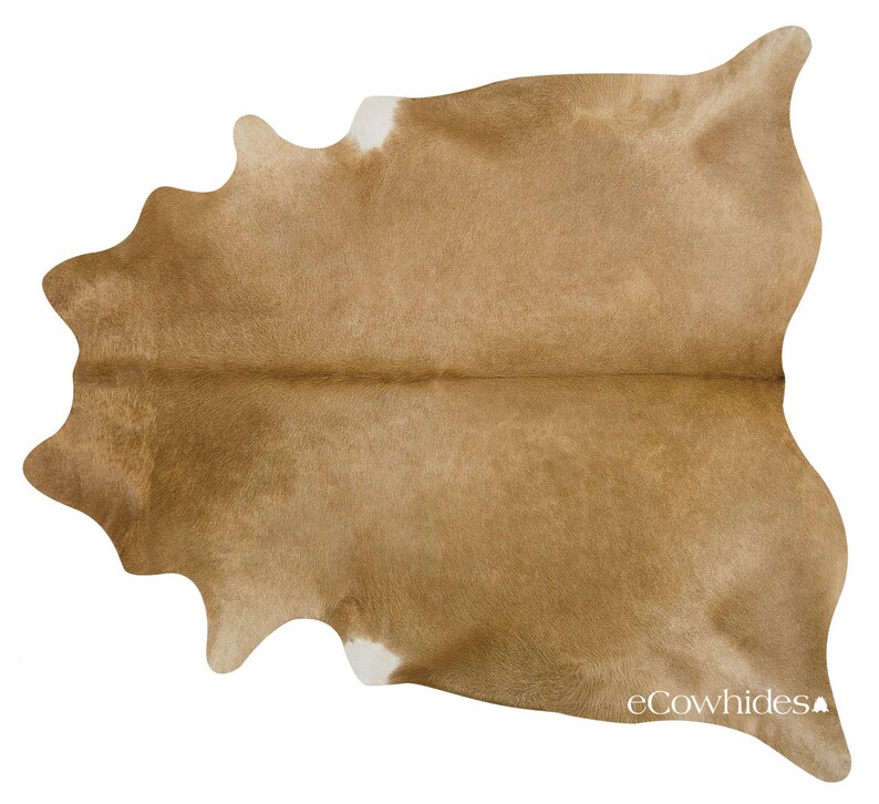 Palomino Brazilian Cowhide Rug Cow Hide Rugs LARGE Etsy