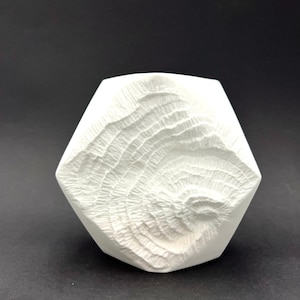 May include: A white, geometric vase with a textured, carved surface. The vase has a unique, multi-faceted shape and a detailed, organic pattern resembling wood grain. The design is modern and minimalist.