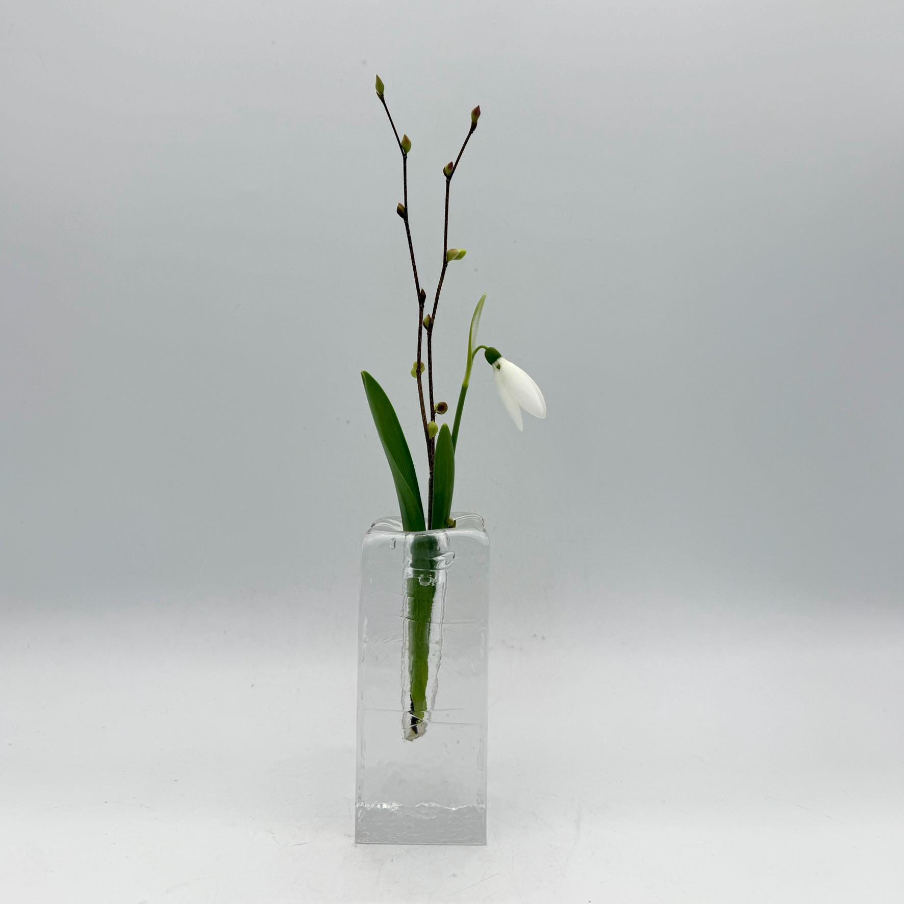 Wiesenthalhütte glass - Etsy 日本