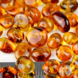 Genuine Natural Honey Polish Baltic Amber Medium Beads With Holes 20pcs image 1