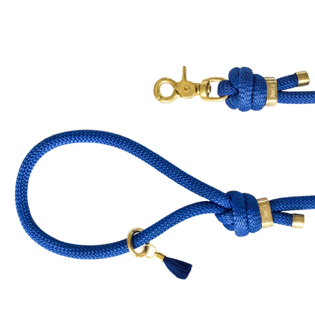 Laisse Pour Chien Paracorde Bleu Saphir