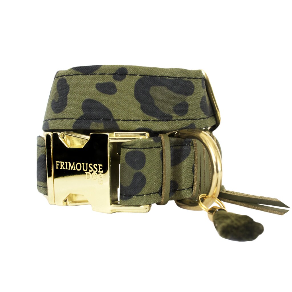 Collier Chien Réglable, Dog Collar, Collier Boucle Dorée, Coton Tissu Taches , Modèle Paddy