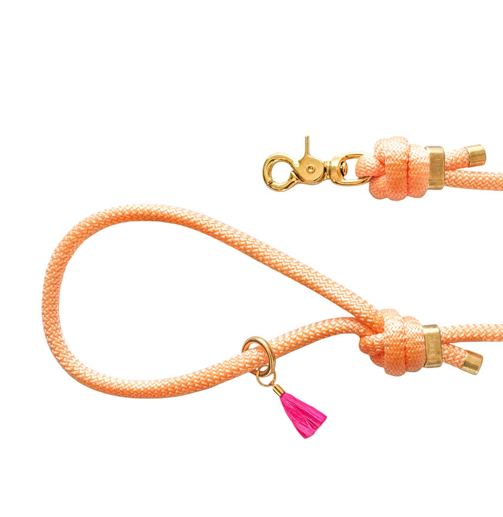 Laisse Pour Chien Paracorde Saumon