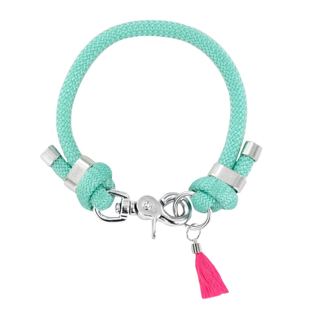 Collier Paracorde Pour Chien avec Métal Argenté Turquoise