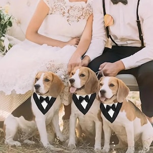 Dog Tuxedo • Dog Tuxedo Bandana • Dog Wedding Tuxedo • Pet Tuxedo • Pet Wedding • Formal Pet Attire • Personalized Tuxedo • FREE SHIPPING