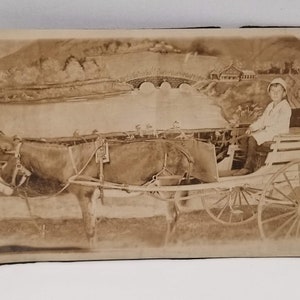 May include: A sepia toned photograph of a young person sitting in a horse drawn carriage. The carriage is pulled by a brown donkey. The background is a painted scene of a bridge over a river.