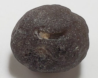 Colombianite from the Cauca River, Colombia- 10.7 Grams- Weathered, Uniquely Pitted- Translucent- E22