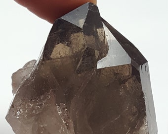 51.2 Grams- Beautiful Natural Smoky Quartz Crystal from Brazil- Nice Formation with Excellent Color Saturation- S6-