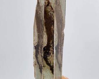 Shaman Quartz:  12.5 cm Long, Mina Zeca De Souza, Brazil- Vivid Lodalite Scene, Unpolished Wand- ST36