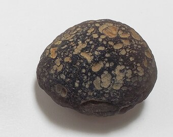 Cintamani Saffordite 13.8 Grams- "Cintamani Stone" Safford Arizona USA- Great Texture, Rune Like- Translucent- AA16