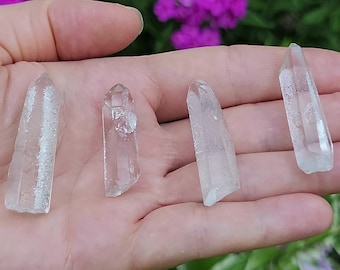 Group of 4 Optical Starbrary Quartz Crystals between 3.5-4.2cm Long- Zeca De Souza, Brazil- Grid Starter, Purification, Great for Gifts- H22