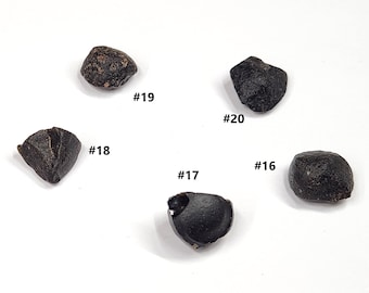 Choose One Australite Tektite from South Australia- Australasian Impact- Rare, Unique Shapes, Some Partial Translucent- (#16-20)