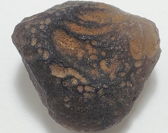 Cintamani Saffordite 12.8 Grams- "Cintamani Stone" Safford Arizona USA- Unique Shape and Texture, Mineralized Pattern- Translucent- AB11