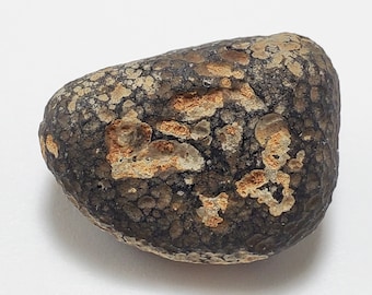Cintamani Saffordite 12 Grams- "Cintamani Stone" Safford Arizona USA- Mineralized Pattern, Highly Textured- Translucent- AB1