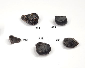 Choose One Australite Tektite from South Australia- Australasian Impact- Rare, Unique Shapes, Some Partial Translucent- (#11-15)